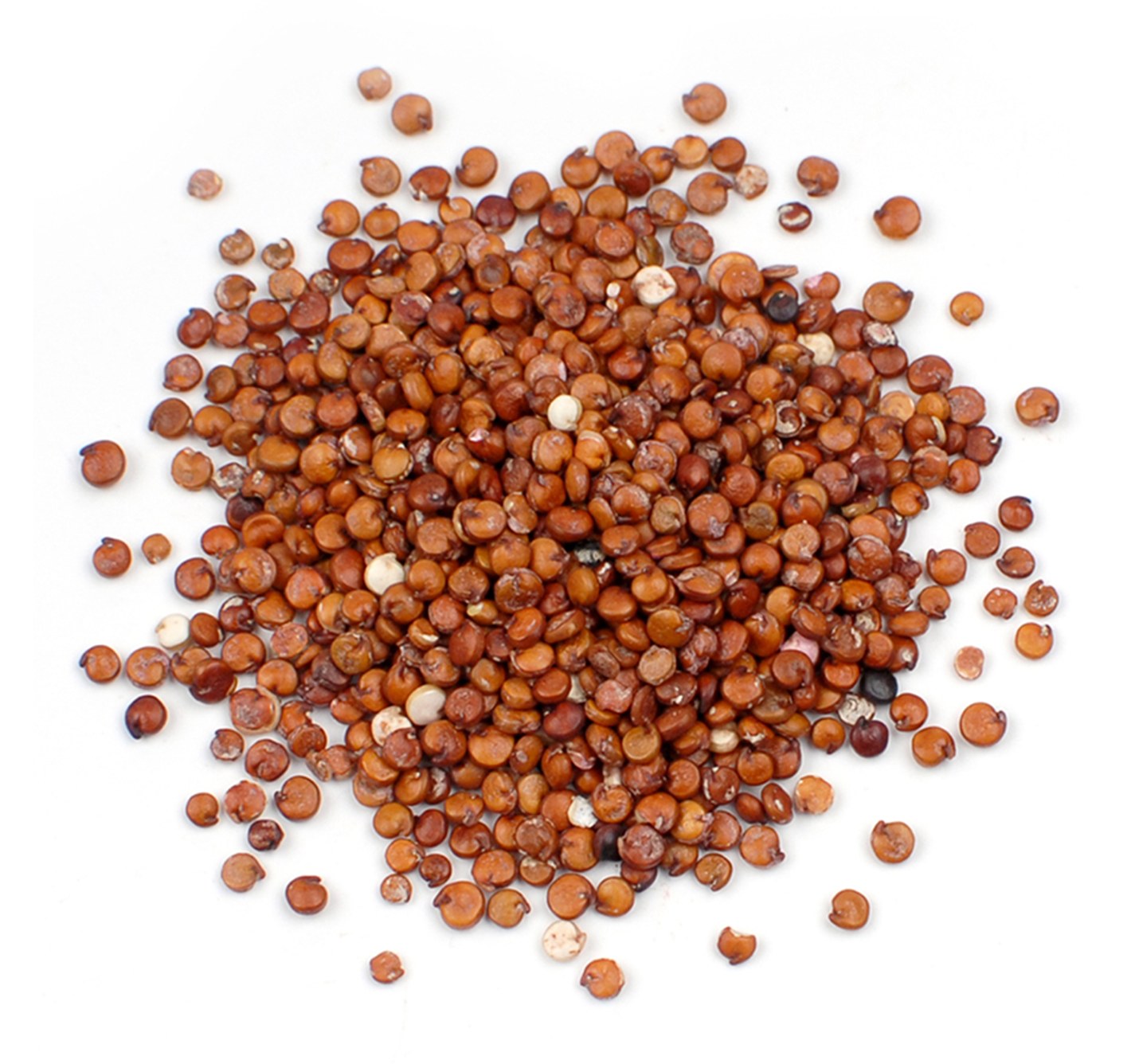 Quinoa Roja